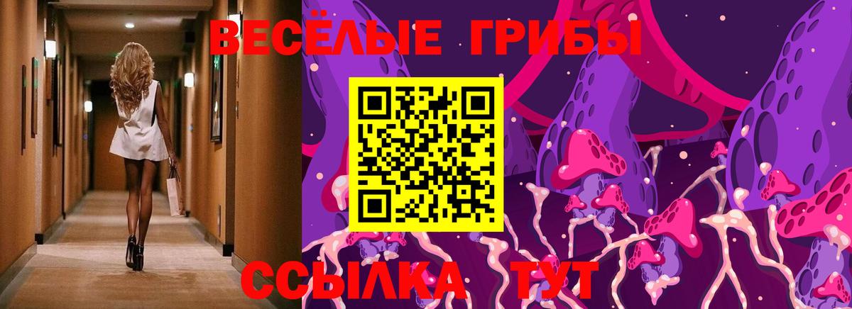 Галлюциногенные грибы ЛСД  Вход с VPN  Элиста 
